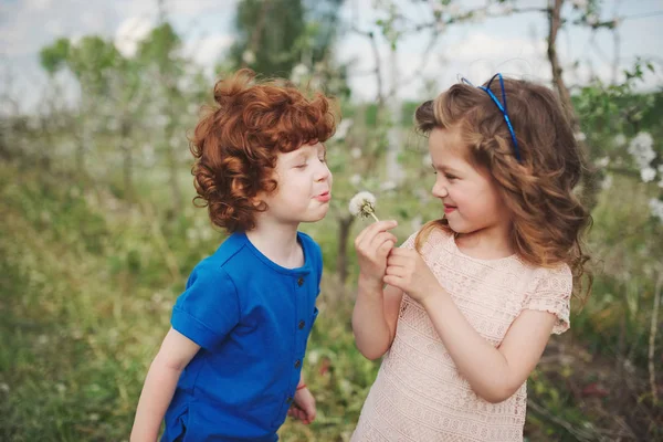 Kleine jongen en meisje in de bloeiende tuin — Stockfoto