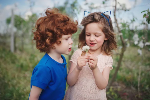 Kleine Jungen und Mädchen im blühenden Garten — Stockfoto