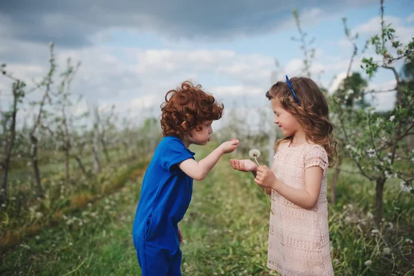küçük erkek ve kız çiçek açan bahçesinde