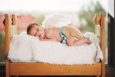 kanatlı sevimli küçük aşk tanrısı