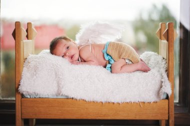 kanatlı sevimli küçük aşk tanrısı