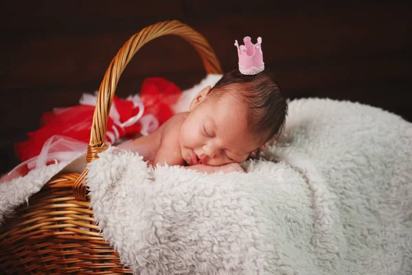 Bebê recém-nascido bonito na cesta — Fotografia de Stock