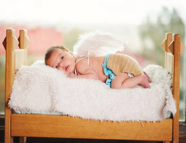 Lindo pequeño cupido con alas — Foto de Stock