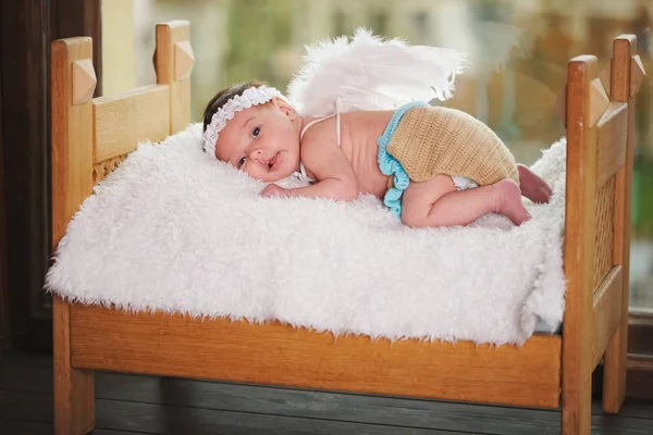 kanatlı sevimli küçük aşk tanrısı