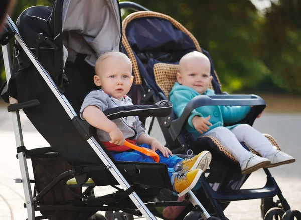 Funny children sitting in strollers in park — Stock Photo, Image