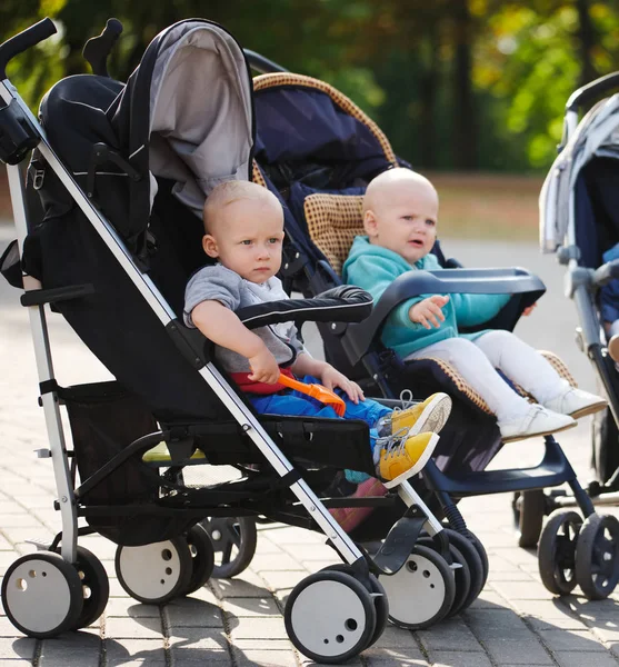 Grappige kinderen zitten in kinderwagens in park — Stockfoto