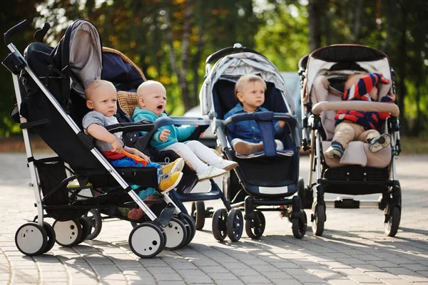 Niños divertidos sentados en cochecitos en el parque — Foto de Stock