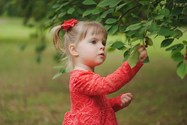 Meisje kijkt naar onbekende bessen in park — Stockfoto