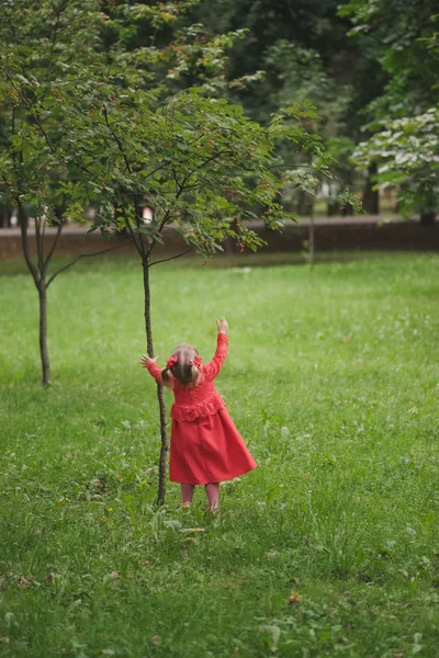 ağaç yaz Park ile küçük kız