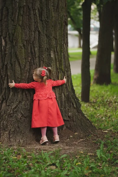 ağaç yaz Park ile küçük kız