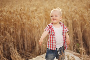sevimli küçük çocuk sonbahar buğday alanında