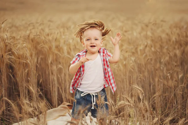 Menino bonito no campo de trigo outono — Fotografia de Stock