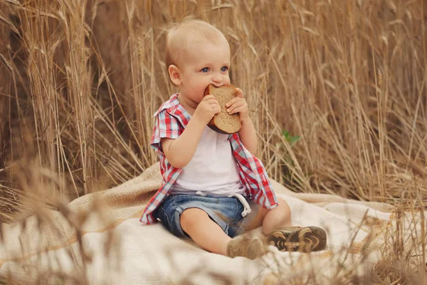 Netter kleiner Junge im Herbstweizenfeld — Stockfoto