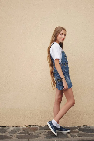 긴 머리를 가진 아름 다운 소녀 — 스톡 사진