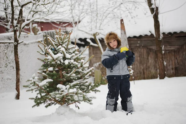 Boy with saw sawing christmas tree — Stock Photo, Image