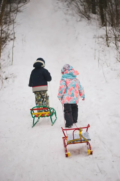 Little cute girl and boy with sled — Stock Photo, Image