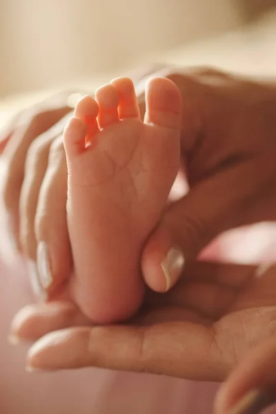 Moeder houdt weinig voet van pasgeboren baby — Stockfoto