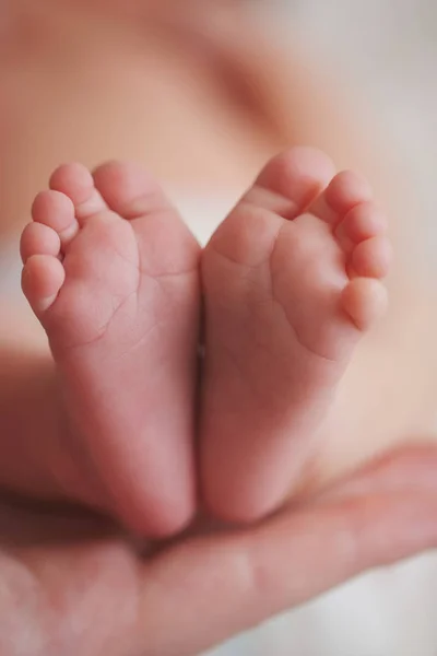 Mãe segura pouco pé do bebê recém-nascido — Fotografia de Stock