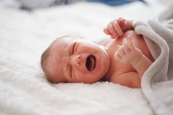 Bebê recém-nascido bonito em casa — Fotografia de Stock