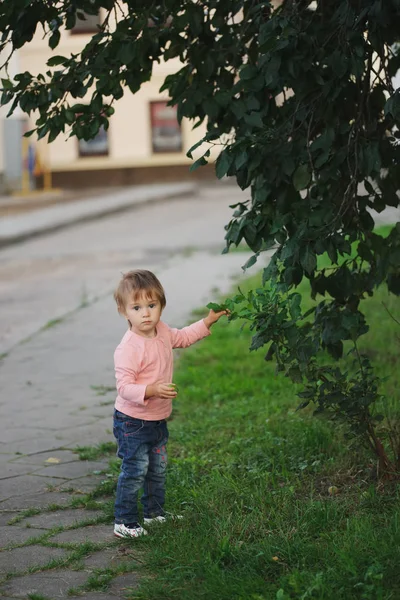 Boy and girl pick apples — Stock Photo, Image