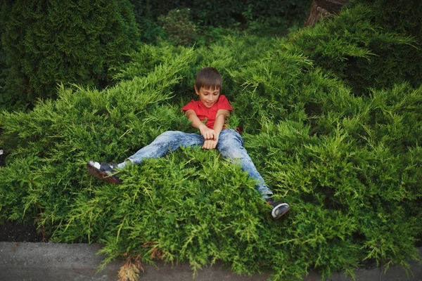 Pequeño niño acostado en enebro — Foto de Stock