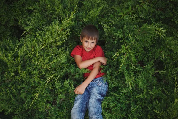 Mały chłopiec leżącego na Jałowiec — Zdjęcie stockowe
