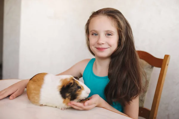 Pequena menina bonita com cobaia porco — Fotografia de Stock