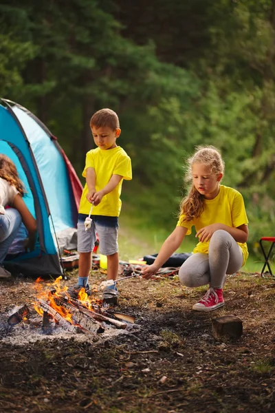 Niños felices caminando en el bosque — Foto de Stock