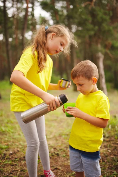 Gelukkige kinderen wandelen in het bos — Stockfoto