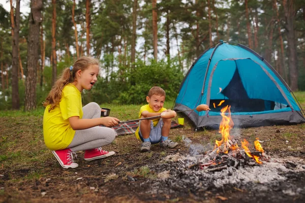 Glückliche Kinder wandern im Wald — Stockfoto