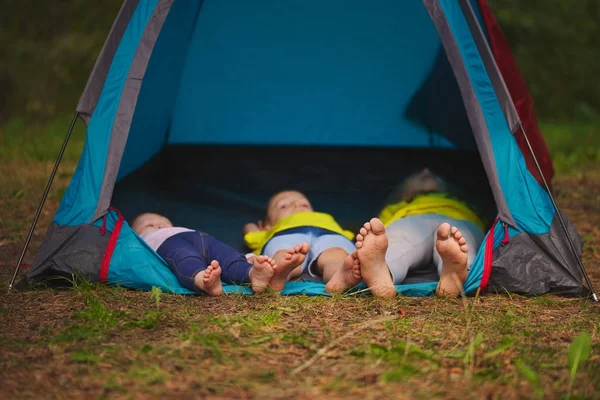 Glückliche Kinder wandern im Wald — Stockfoto