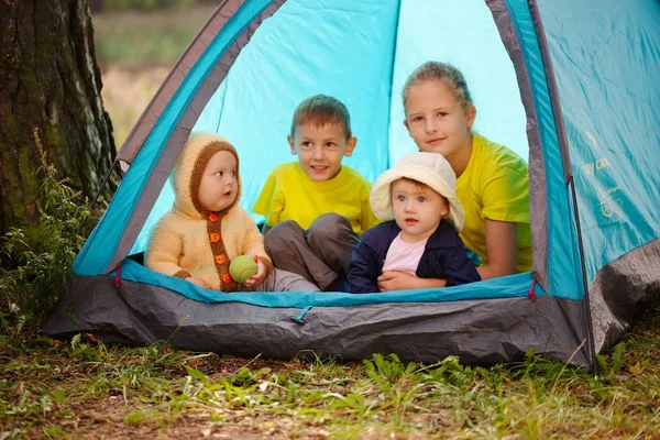 Glückliche Kinder wandern im Wald — Stockfoto