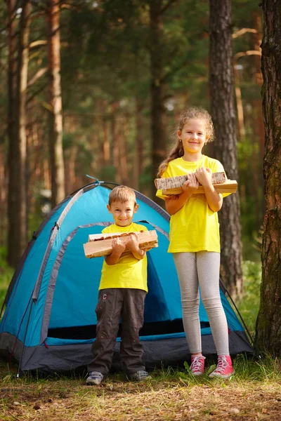 Niños felices caminando en el bosque — Foto de Stock