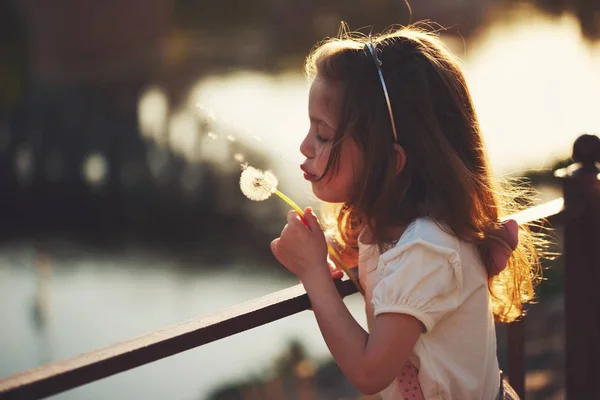 Маленькая девочка с одуванчиком в парке — стоковое фото