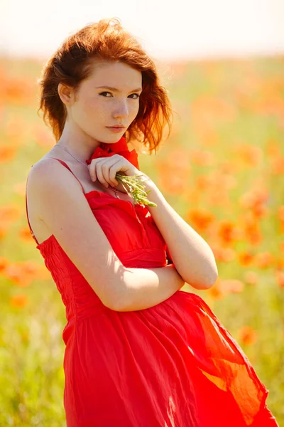 Beautiful girl in poppy field — Stock Photo, Image