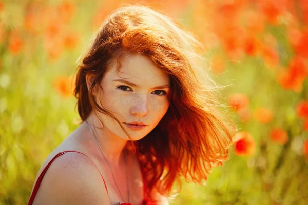 Krásná dívka v makové pole — Stock fotografie