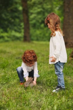 erkek ve kız parkta tavşan ile oynarken