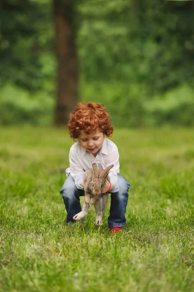 Litle jongen speelt met konijn in park — Stockfoto