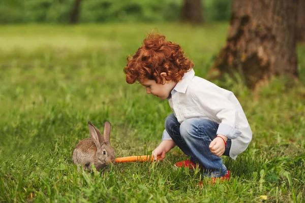 Litle jongen speelt met konijn in park — Stockfoto