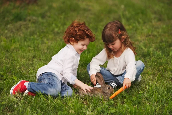 Мальчик и девочка играют с кроликом в парке Стоковая Картинка