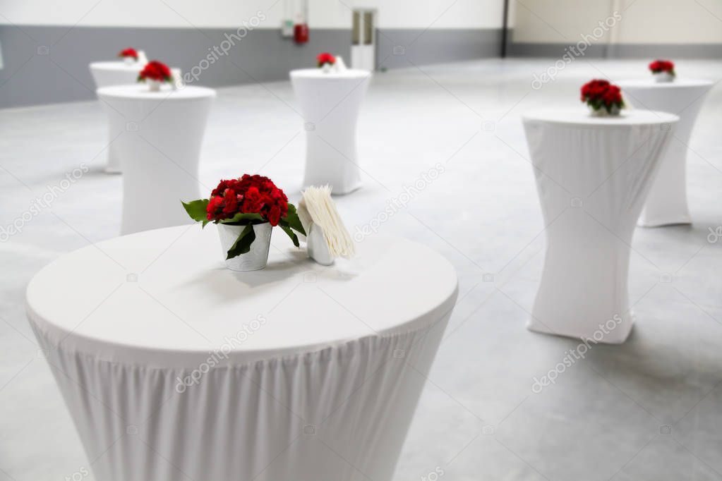 Event Decoration Equipment