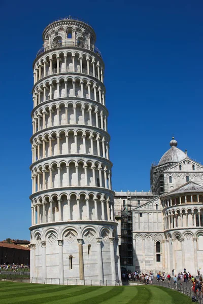 Pisa Kulesi 03 — Stok fotoğraf