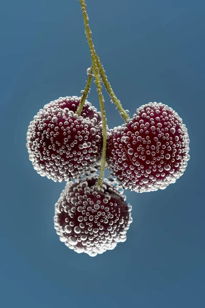 Tres cerezas en agua con burbujas y fondo azul —  Fotos de Stock