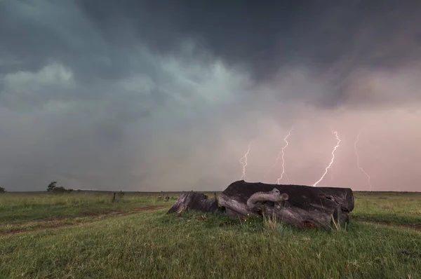 Landskap med lightning slående bakom död trädstam — Stockfoto