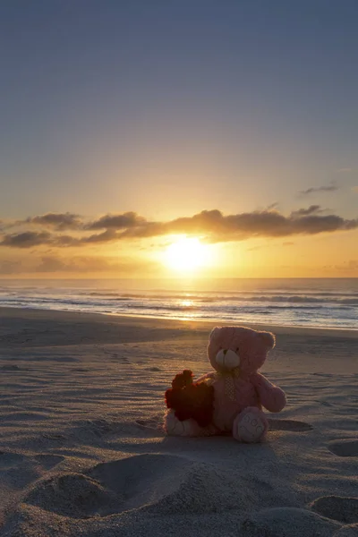 Teddy bear on a beach at sunrise with flowers — Stock Photo, Image