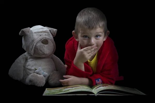 Chico divertido con un perro de peluche leyendo un libro para dormir —  Fotos de Stock