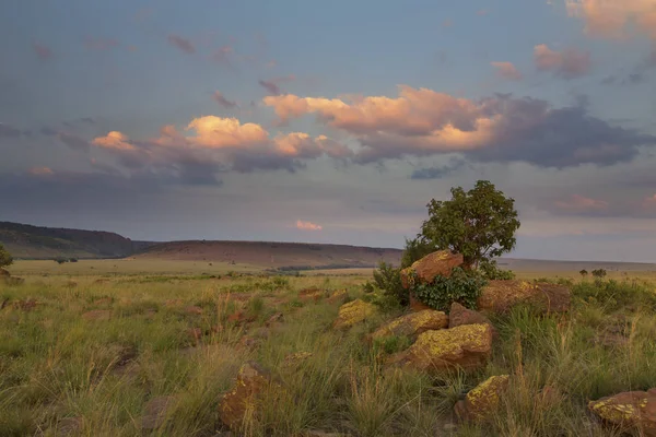 Paisaje de árbol en una colina con rocas y nubes al atardecer —  Fotos de Stock