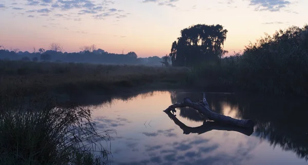 Rustige landschap van zonsondergang over een dam met een boom — Stockfoto