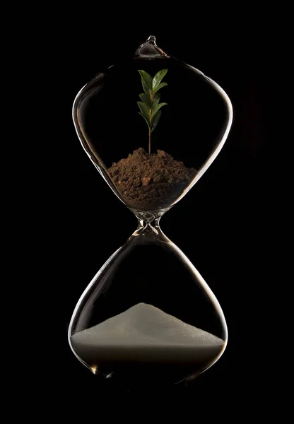 Reloj de arena en un estudio oscuro con iluminación de llanta y cultivo de plantas i —  Fotos de Stock