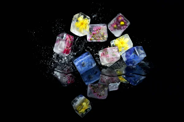 Fiori in cubetti di ghiaccio che cadono su una superficie nera con uno spray di — Foto Stock